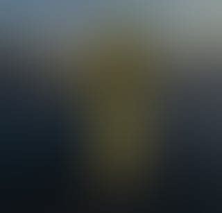 “Short” Ariral models datamined : r/Voicesofthevoid