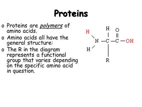 Basic Biochemistry - Carbohydrate, Protein and Fat - Presentation Chemistry