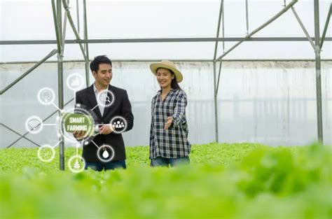 Knowledge Sharing Platforms Enhance The Adoption Of Agricultural