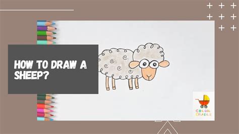 How To Draw A Sheep For Kids Simple Step By Step Easy Sheep Drawing