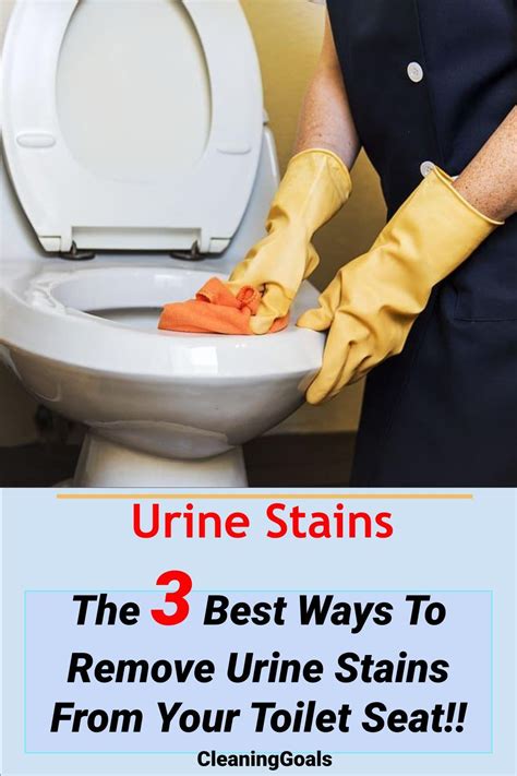 What Removes Urine Stains From Toilet Seats At Holleyccoxo Blog