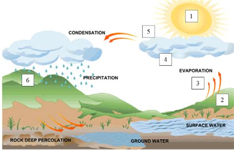 Fourzeroseven18: Rainfall worksheet