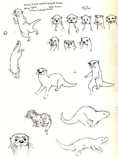 Illustration Blog: Otter sketches