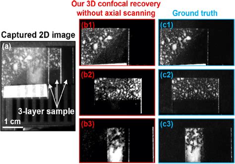 (Visualization 2) Volumetric confocal imaging of a semitransparent ...