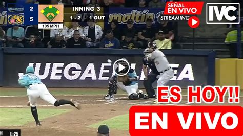 Bravos De Margarita Vs Leones Del Caracas En Vivo Hoy Lvbp Round