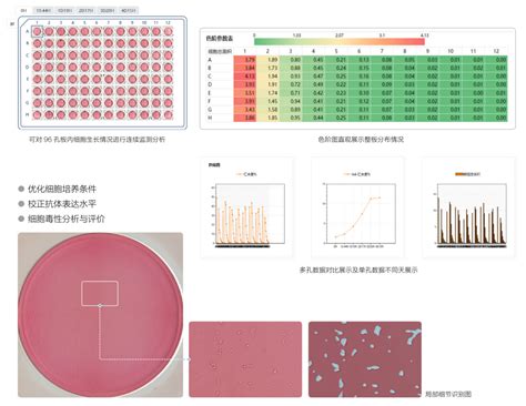 Countstar Castor X1 高通量细胞分析仪 细胞分析仪高通量细胞计数仪进口细胞计数器 北京德泉兴业商贸有限公司