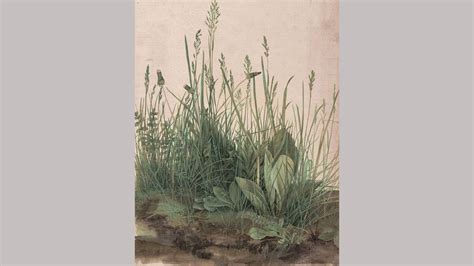 Albrecht Dürer: The painter with 'a magical touch' - BBC Culture