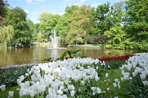 Como é visitar o Keukenhof, na Holanda - Viagens de Mãe