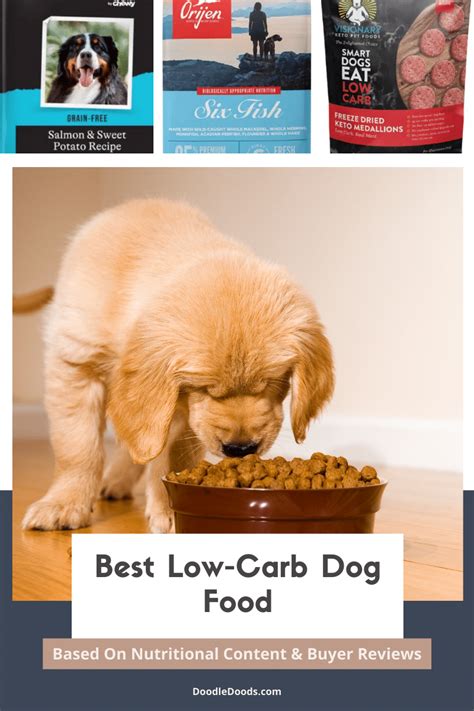 Best High Calorie Dog Food Based On Nutritional Content Buyer Reviews
