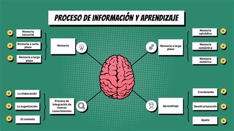 Procesamiento de la Información y Aprendizaje