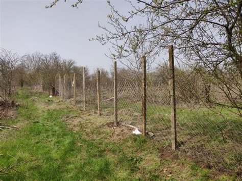 Добрич, Лозе/парцел Лозе 700 кв.м Не е посочено | Земеделска земя ...