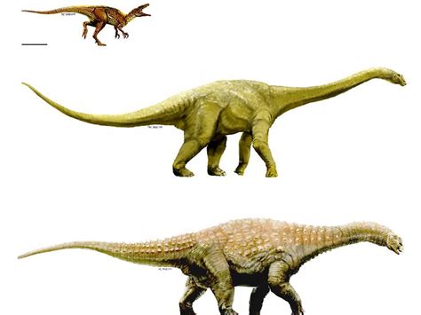 Dinosaurier Arten Mit Bild 27 Koleksi Gambar