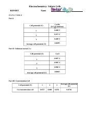 Exp Voltaic Cell Analysis Docx Electrochemistry Voltaic Cells