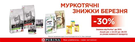 Зоотовары, товары для животных. Зоомагазин Рыжий Кот