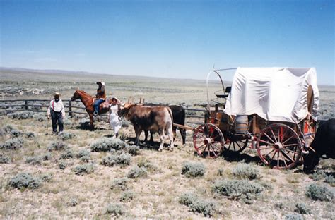 All American Wagon Train Across America Equitrekking