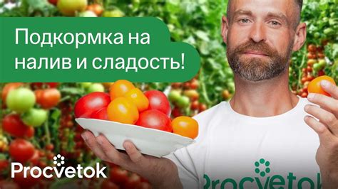 ФИНАЛЬНАЯ ПОДКОРМКА ТОМАТОВ, ЧТОБЫ СПЕЛИ И НАЛИВАЛИСЬ БЫСТРЕЕ! - YouTube