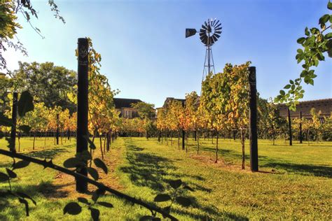 Concurso em Setúbal elege melhores vinhos do país VisitSetubal