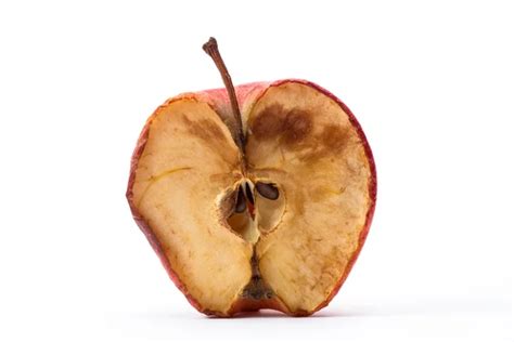 Manzana podrida fotos de stock, imágenes de Manzana podrida sin ...