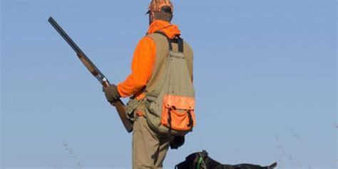 Types Of Hunting Traps Where When Why And How 2022