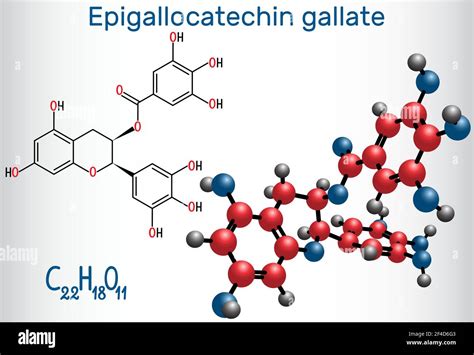 Epigallocatechin Gallate Egcg Is The Most Abundant Catechin In Tea