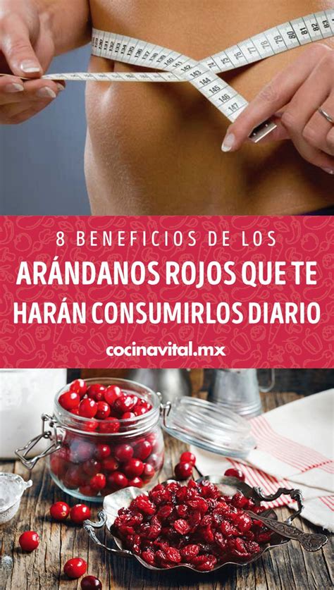 Beneficios De Los Ar Ndanos Rojos Que Te Har N Consumirlos Diario En