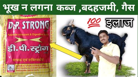 बकर क भख बढन क चरण D P Strong powder ke फयद bakri ki