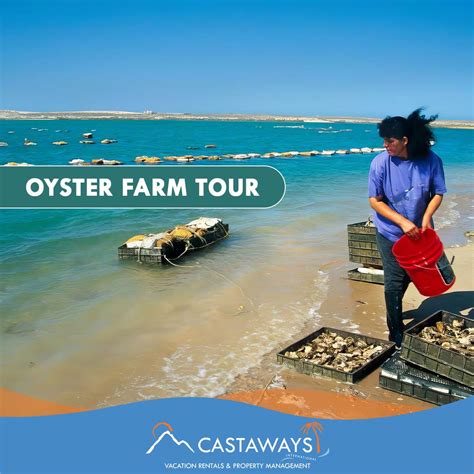 Rocky Point Activities - Oyster Farm Tour, Sonoran Spa Puerto Peñasco, Mexico Arizona - Sonoran Spa