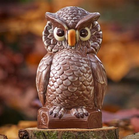 Large Milk Chocolate Owl Bettys Owl Owl Food Owl Treats