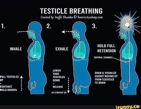 Testicle Breathing Created By Steffo Shambo 1 3 Hold Full Inhale