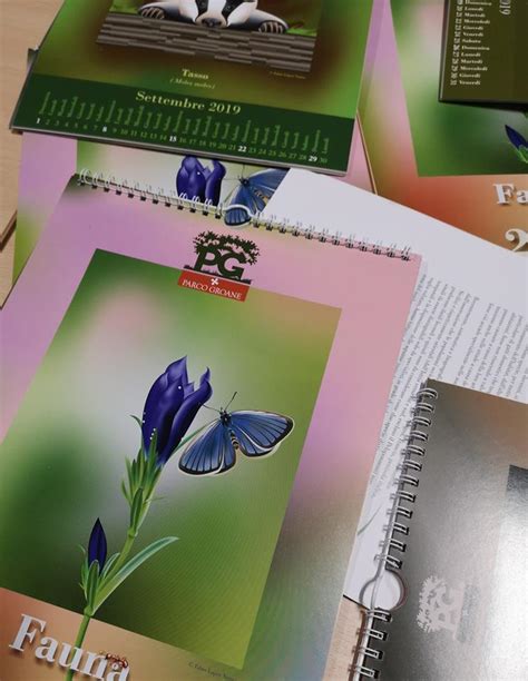 Parco Groane Ecco Il Nuovo Calendario Naturalistico Il Saronno