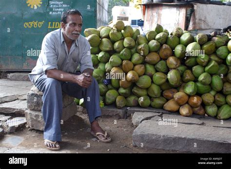 Tender Coconut Seller Hi Res Stock Photography And Images Alamy