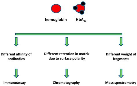 Biosensors Free Full Text Glycated Hemoglobin And Methods For Its