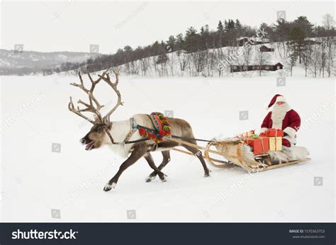 Reindeer Pulling Santa Claus His Sleigh Stock Photo 1570363753