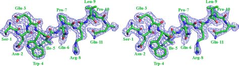 Stereoview Of A Weighted F Obs F Calc Electron Density At