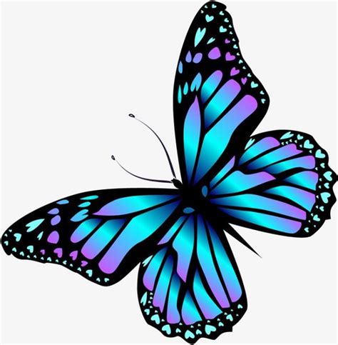 5 Ultimate Steps To Draw A Beautiful Butterfly Drawing Easy Drawing Club