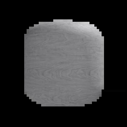 Wood Grain Head (Recolorable) - Roblox