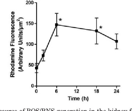 Figure 1 From Effects Of The Inducible Nitric Oxide Synthase Inhibitor