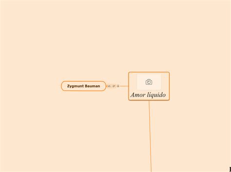 Zygmunt Bauman Mapa Mental Amostra