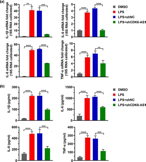 Effects Of Lps And Cdk As On Inflammatory Cytokine A The Mrna