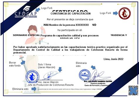 Formato De Constancia De Capacitación Pdf