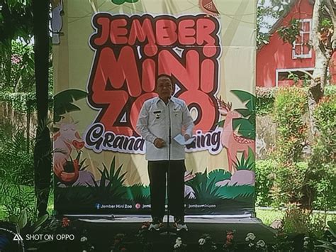 Jempolindoid Jember Mini Zoo Pintu Dunia Wisata Jember