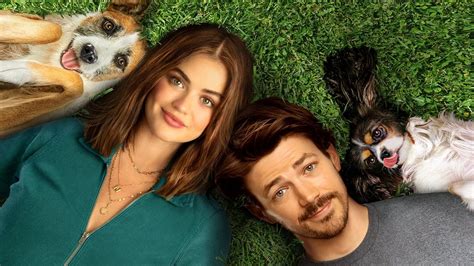 Ver O Descargar La Pelicula Amor De Cachorros Online Gratis Pelisplus Hd