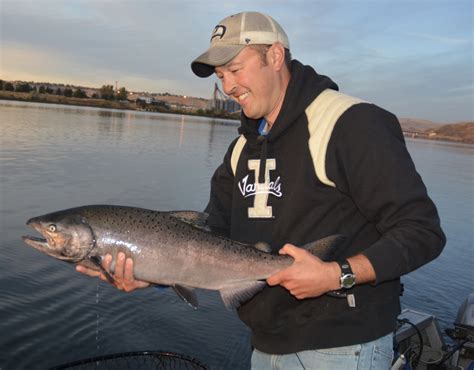 Fall Chinook Fishing Opening Aug On Idaho S Snake Clearwater Salmon