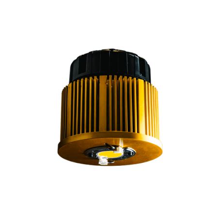 Lâmpada LED COB Weismann EVO para pequenos Cult Rooms 50x50