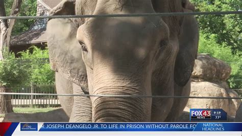 ZOO AND YOU: Topeka Zoo is home to famous Asian elephant