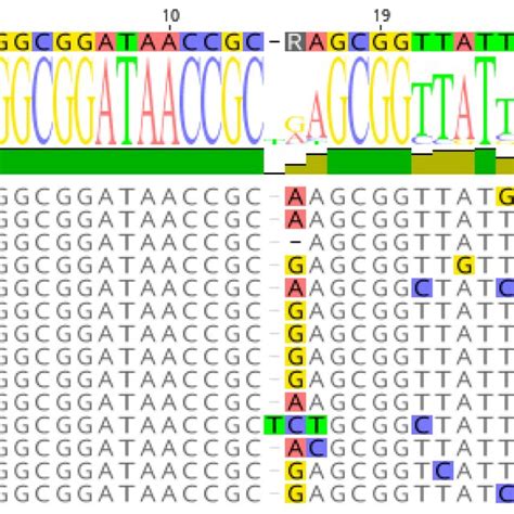 Definition Of A Highly Conserved Consensus The Conserved Sequences