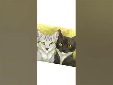 Милые фотки котов воителей 💗 - YouTube