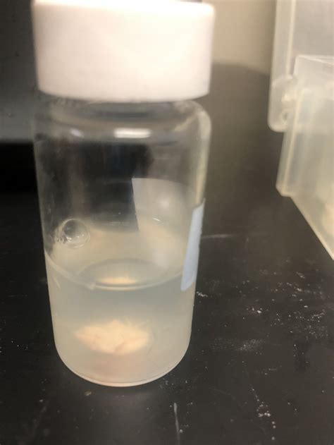 Cloudy Brain Samples In Sucrose Solution Researchgate