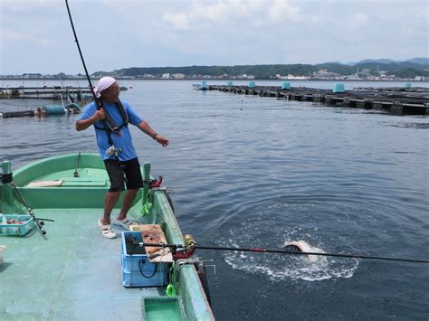 串本のカセで釣れる色々な魚たち（外道集）