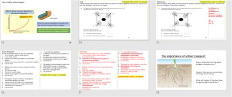 Active Transport Gcse Teaching Resources